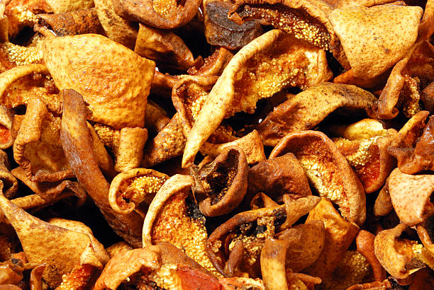 istock Dried fruits pear 151564222