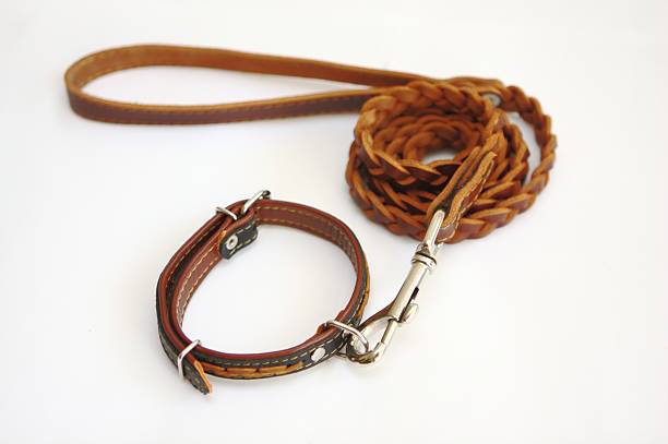 istock Pet leather collar and leash isolated on white 151564366