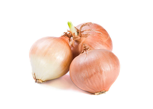 Three onions stock photo