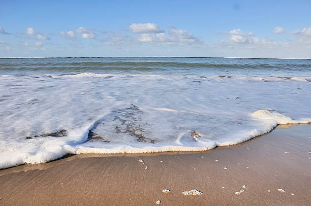 istock foam covering the sand 151564744