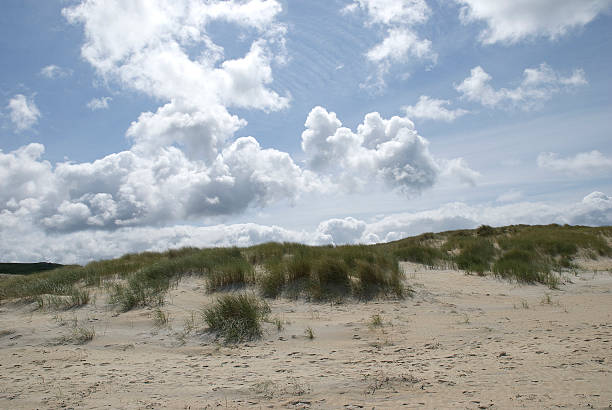 sand and dunes stock photo