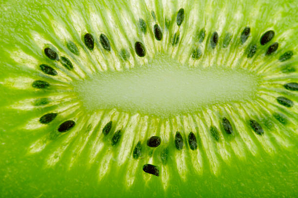 kiwi frescos - fotografia de stock