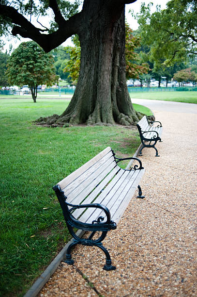 bench in park stock photo