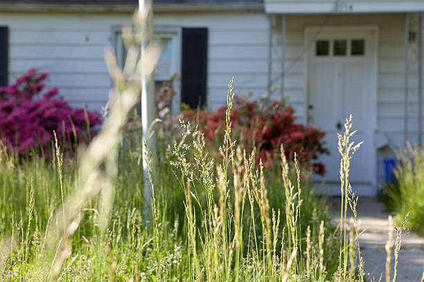 Long Grass Outside Abandoned Cape Cod Single Family Home Maryland