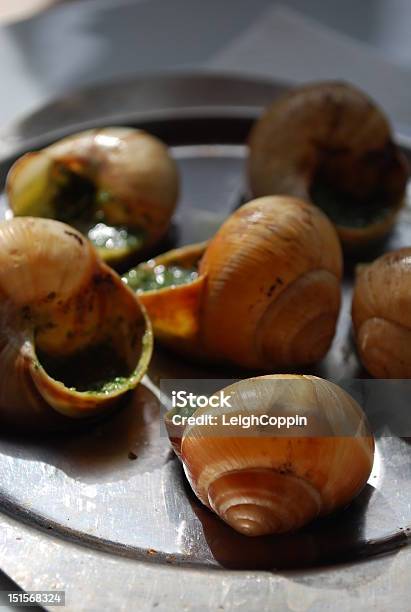 Caracóis Escargots - Fotografias de stock e mais imagens de Café - Edifício de Restauração - Café - Edifício de Restauração, Capitais internacionais, Caracol - Entrada