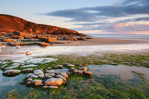 dunraven bay tramonto, galles - scenics coastline uk moss foto e immagini stock