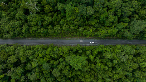 Aerial view white electric vehicle car or EV car on green forest road, EV car travel in green season, Asphalt road and green forest, Forest road going through forest with white electric car.