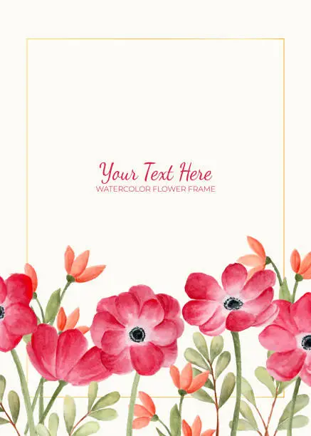 Vector illustration of Manual painted of red anemone flower watercolor as background frame.