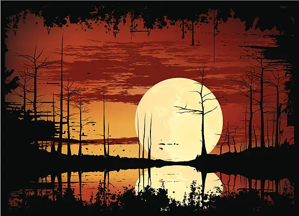 Vector illustration of swamp sunset