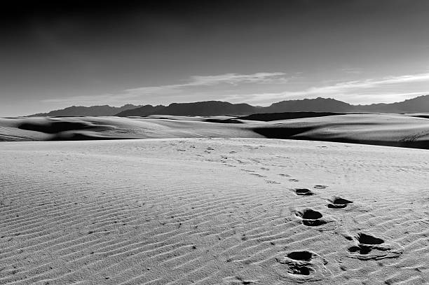 Footprints in the sand dunes stock photo