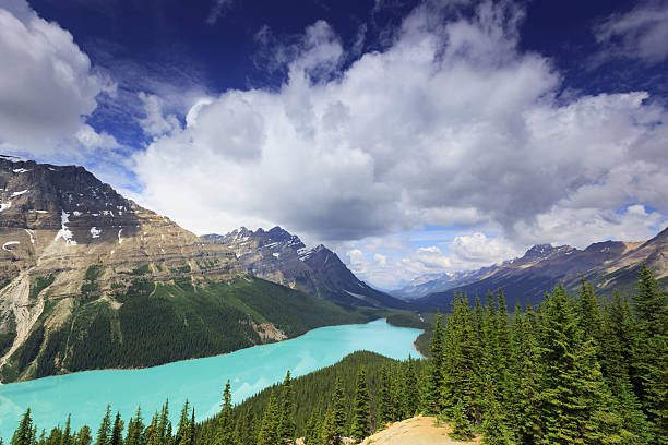 Peyto Lake in Canadian Rockies stock photo