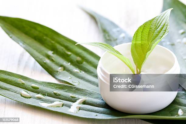 Natural Cosmetics Featuring Aloe Stock Photo - Download Image Now - Beauty Product, Beauty Treatment, Body Care