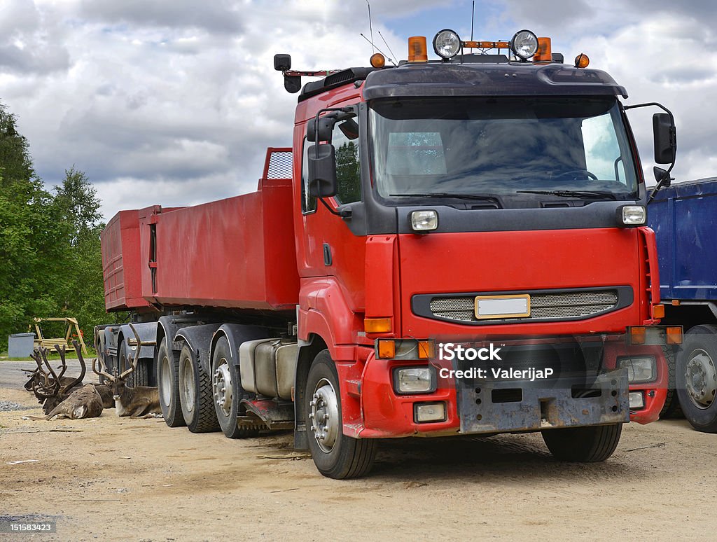 Immense camion rouge et renne - Photo de Animaux à l'état sauvage libre de droits