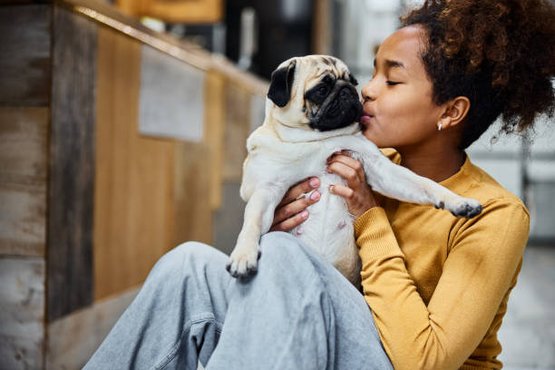 Cute black girl kissing her pug at home.