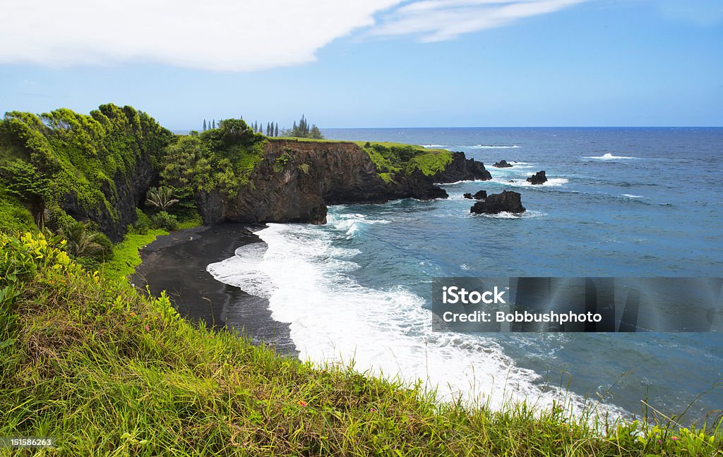 Hawaiian praia de areia negra (XXL arquivo) - Foto de stock de Areia Preta royalty-free