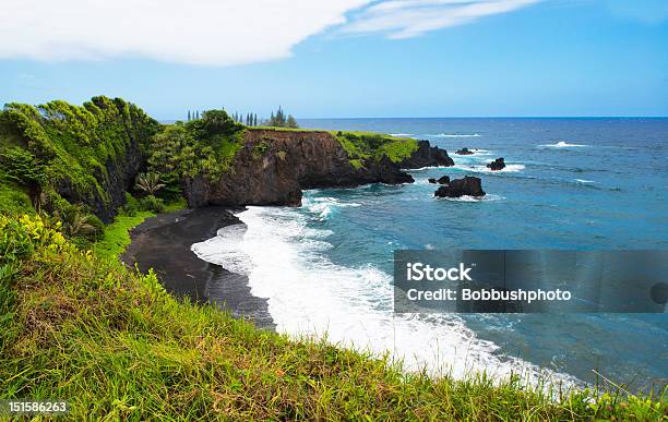 Foto de Hawaiian Praia De Areia Negra e mais fotos de stock de Areia Preta - Areia Preta, Maui, Arrebentação