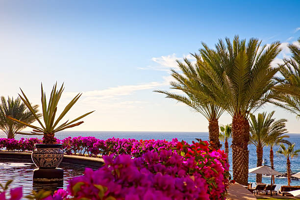 Resort in Cabo San Lucas, Mexico stock photo