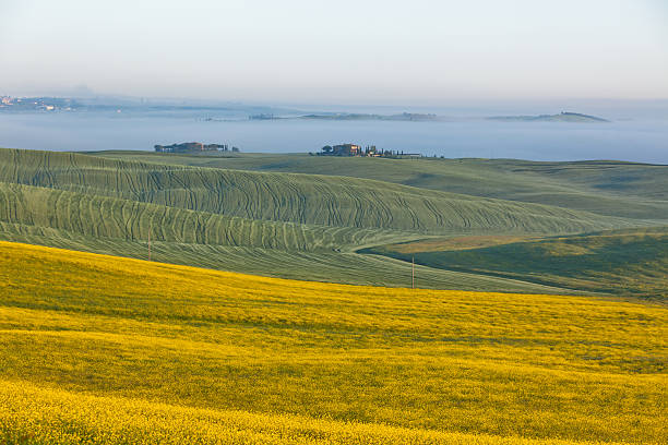 toskania w sunrise - siena province tuscany italy fog zdjęcia i obrazy z banku zdjęć