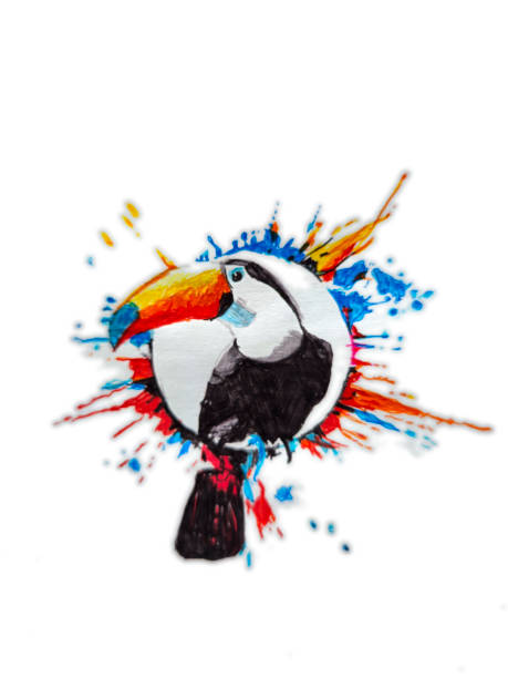 Colorful Toucan Bird. Profile photo.