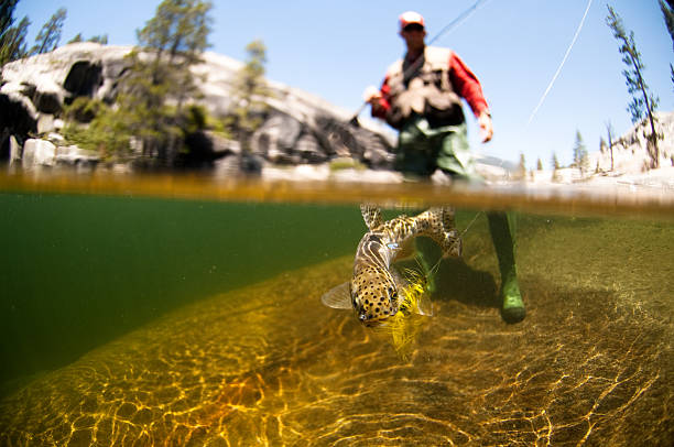 istock Fly fishing 151592179