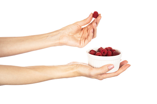 Raspberries in hands isolated on white background. High quality photo