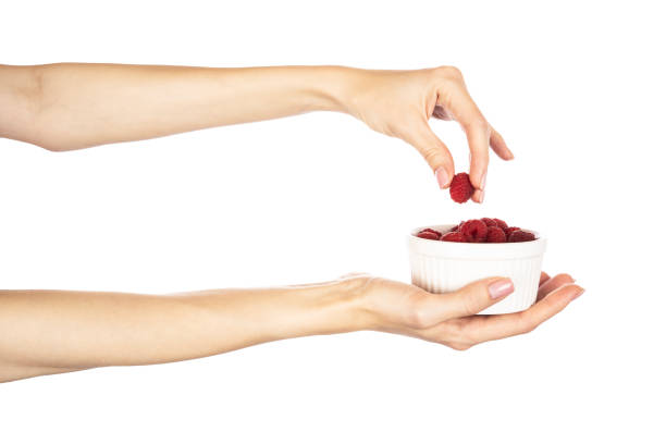 Raspberries in hands isolated on white background. High quality photo