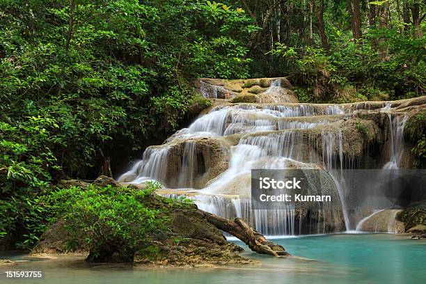 Cascata Em Floresta - Fotografias de stock e mais imagens de Animal selvagem - Animal selvagem, Ao Ar Livre, Beleza