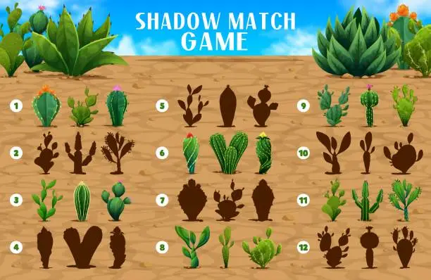 Vector illustration of Shadow match game with mexican prickly cactuses