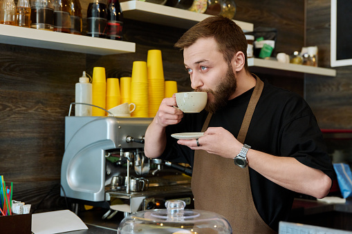 Portrait of young barista male in an apron with freshly prepared cappuccino coffee, standing behind counter in coffee shop, machine background. Small business service, coffee shop, staff work concept