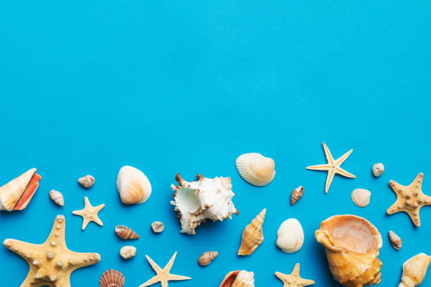 istock Summer time concept Flat lay composition with beautiful starfish and sea shells on colored table, top view with copy space for text 1516014448