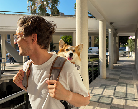 Young man travelling with cute corgi in a backpack. Vacation with a pet.