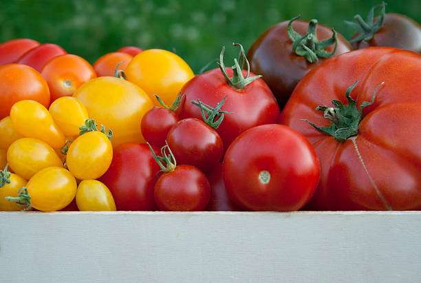 tomates - heirloom tomato food tomato crate photos et images de collection