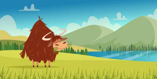 Vector illustration of Yak outdoor. Cartoon background with wild yak bull walking exact vector template