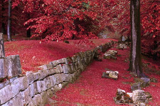 murus dacicus at Sarmizegetusa in the beautiful colours of autumn