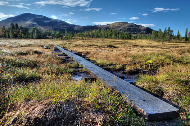 Caminhadas trail na Suécia - fotografia de stock