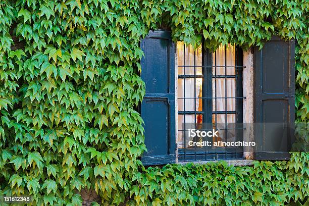 Ivy On The Wall Stock Photo - Download Image Now - Accessibility, Building Entrance, Built Structure
