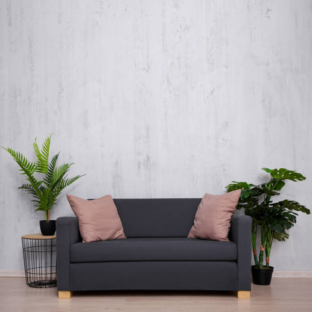 istock Sofa and plants with copy space over grey wall 1516133911