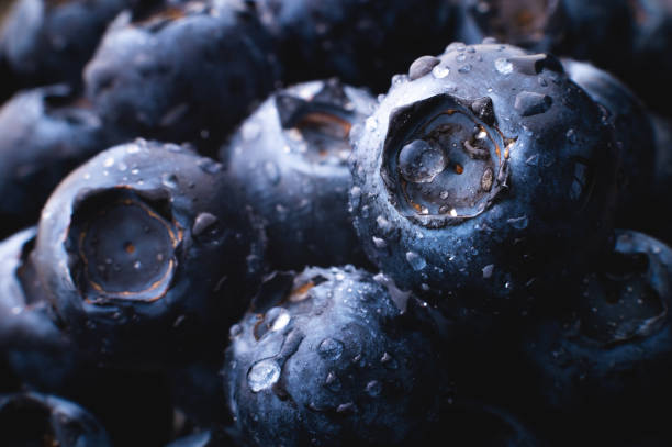 istock Wet fresh blueberry background. Studio macro photography. blueberries covered with water drops, on a black background. Very detailed macro photography 1516143119