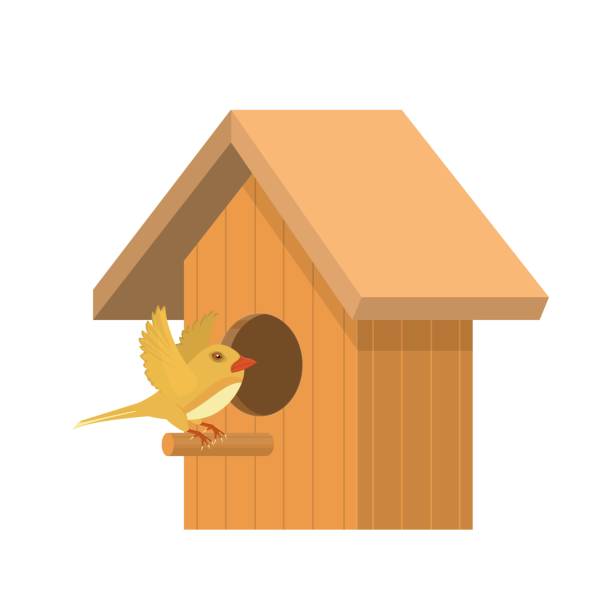 vogel in einem vogelhaus. tier vogel - birdhouse animal nest house residential structure stock-grafiken, -clipart, -cartoons und -symbole