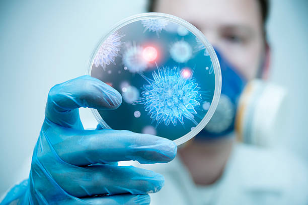 Science and Lab Research A scientist holding a Petri Dish with Virus and bacteria cells. petri dish photos stock pictures, royalty-free photos & images