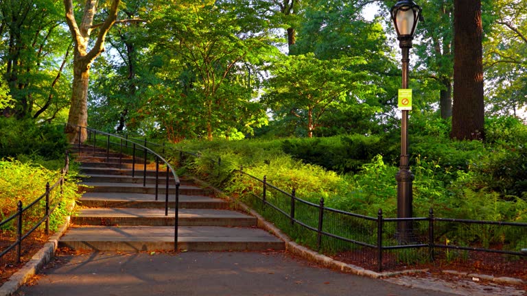Central Park Manhattan Stair - Urban Landscape