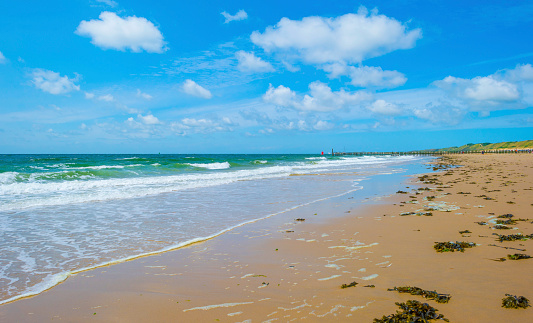 Sand  beach along a sea under a blue cloudy sky in bright sunlight in summer, Zeeland, the Netherlands, June, 2023