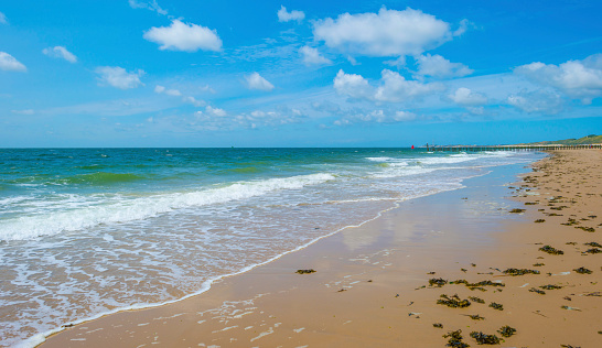 Sand  beach along a sea under a blue cloudy sky in bright sunlight in summer, Zeeland, the Netherlands, June, 2023