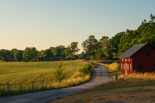 Country road in Skåne in the evening sun, with a typical red barn and grass fields.