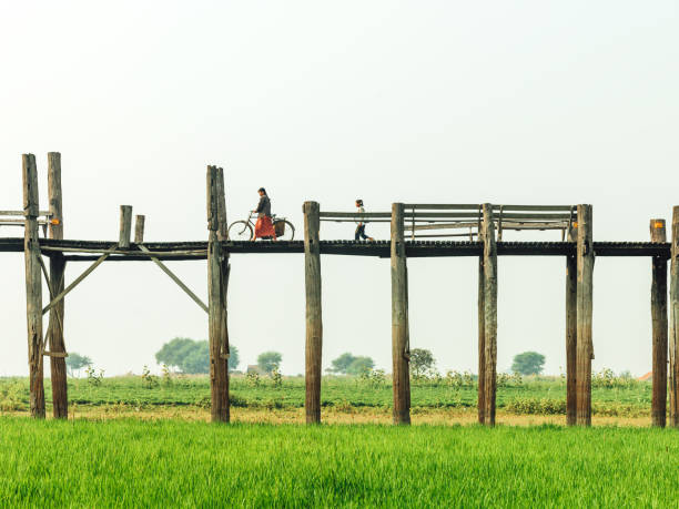 Mandalay, Myanmar - March 01, 2010 : Burmese People walking on the U Bein bridge, the famous teak wood bridge aged over 100 years old, located in Mandalay, Myanmar