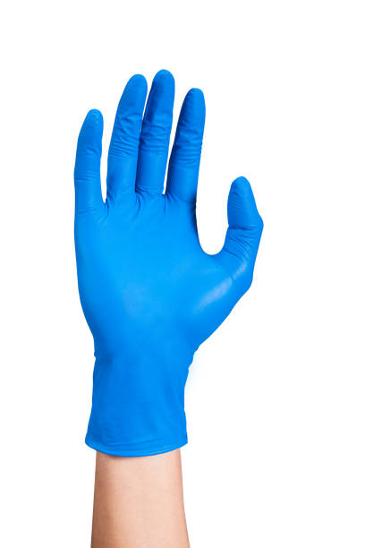 istock Hands in medical rubber gloves, clean background 1516233037