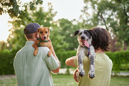Amor, retrato y familia con perro en refugio de animales para adopción en perrera photo