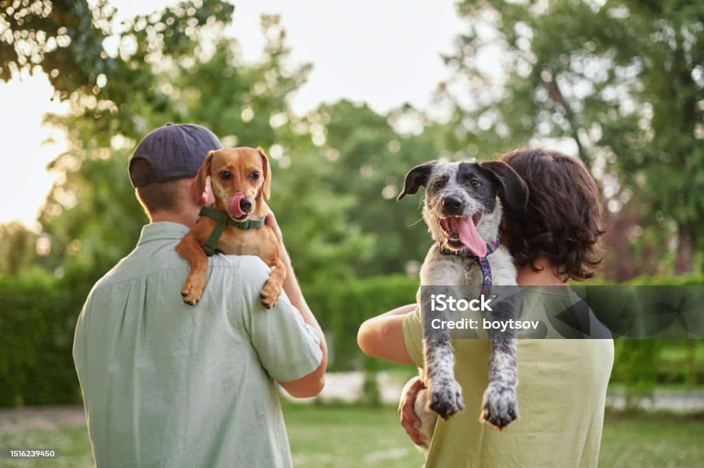 Love, portrait and family with dog at animal shelter for adoption at kennel Support, care or happy family, men and kids bonding with foster puppy or pet and enjoying time together. High quality photo Dog Stock Photo