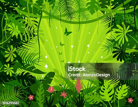 istock Tropical Rainforest Background. Jungle Frame Poster. 1516294561