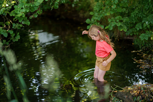 A Happy Girl Embraces the Joys of Childhood as She Explores a Summer Creek, Immersing Herself in Nature's Wonders and Playful Discoveries. Preschool Child and Summertime